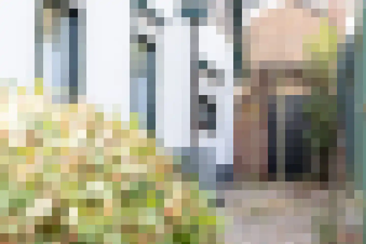 Lichtenbergseweg 20 Silvolde thumbnail 40