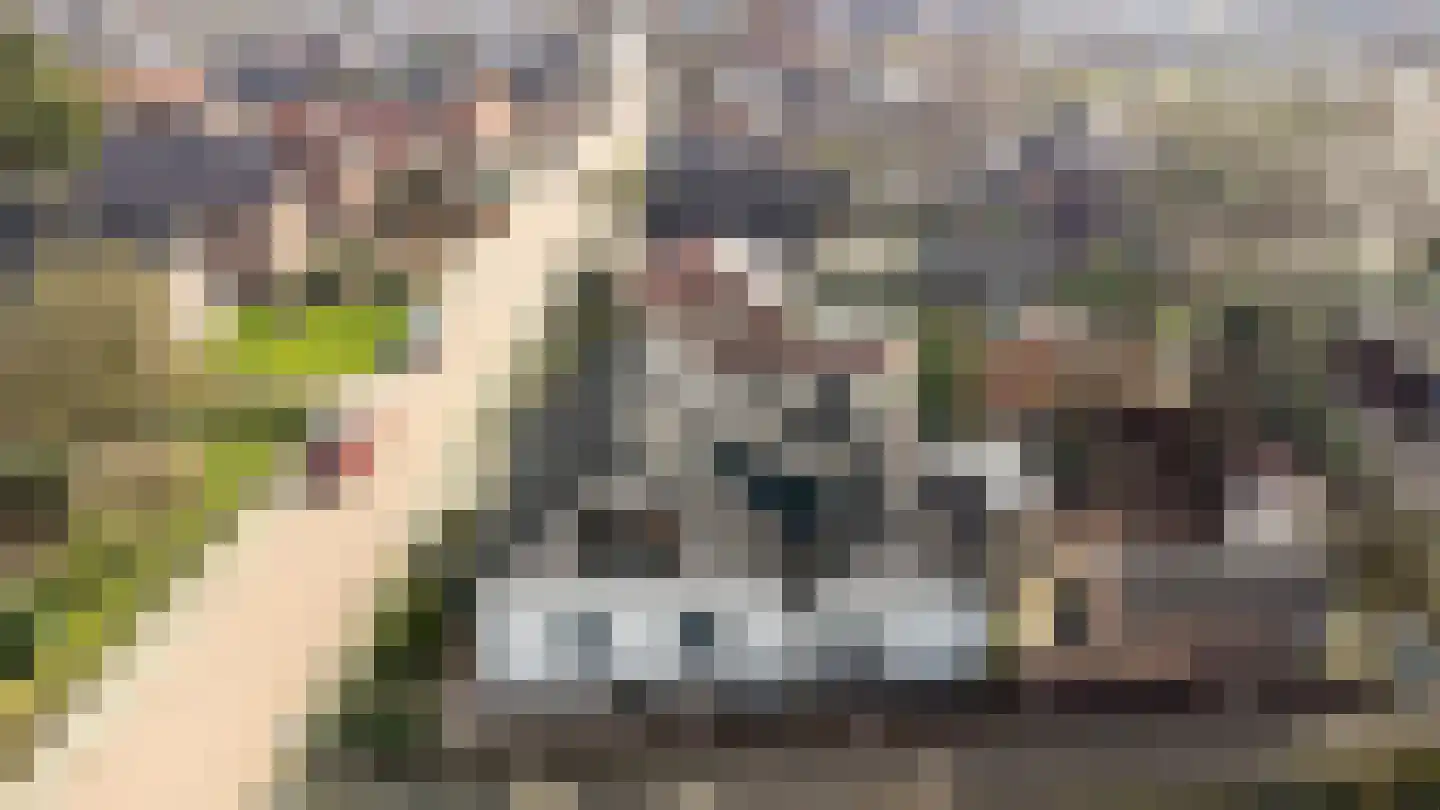 Lichtenbergseweg 20 Silvolde thumbnail 41