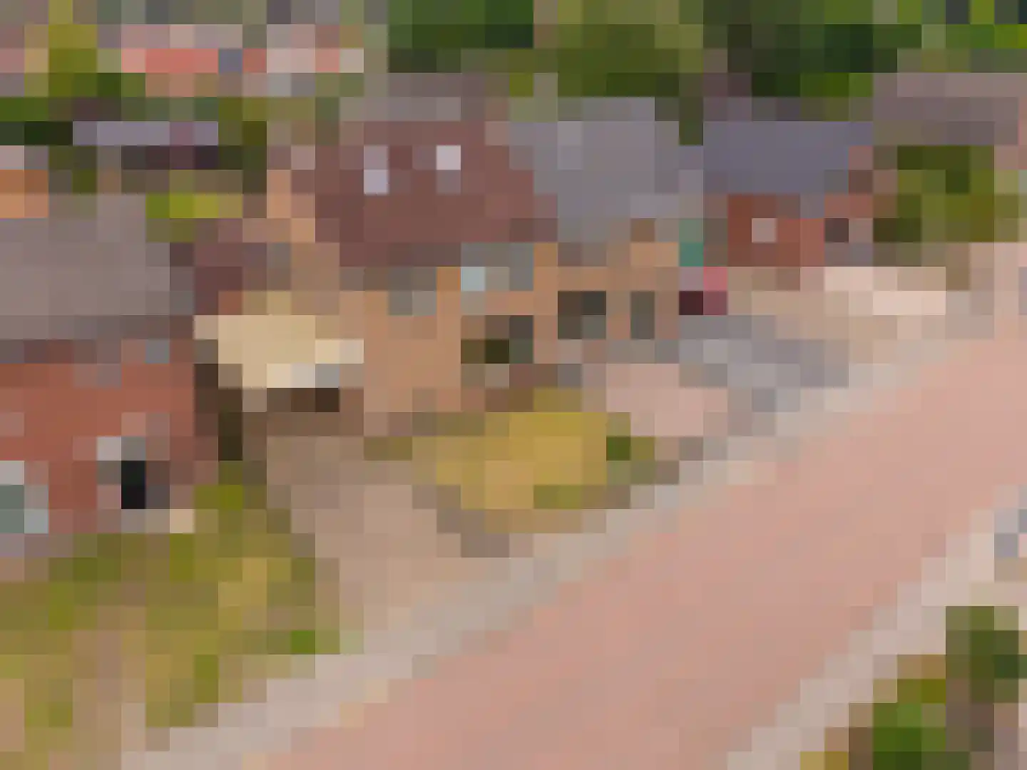 Lichtenbergseweg 26 Silvolde foto 2