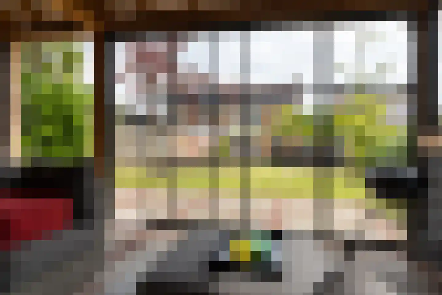 Lichtenbergseweg 26 Silvolde thumbnail 30