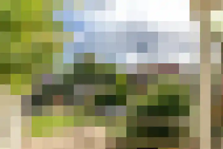 Lichtenbergseweg 29 Silvolde thumbnail 38