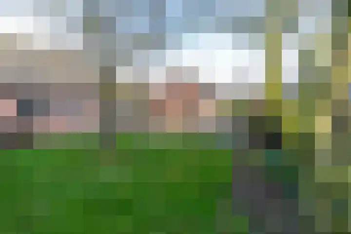 Lichtenbergseweg 36 Silvolde thumbnail 37