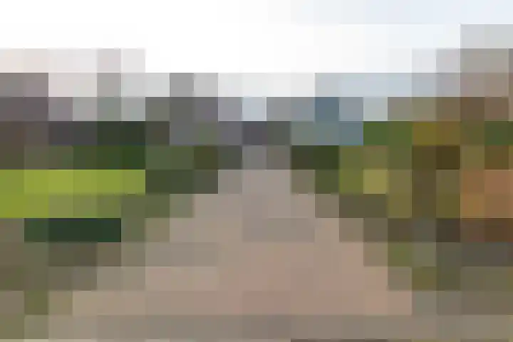 Lichtenbergseweg 36 Silvolde thumbnail 6
