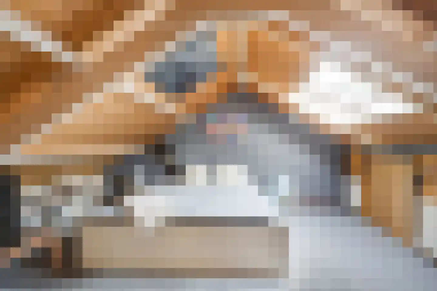Lichtenbergstraat 14 Sittard thumbnail 24
