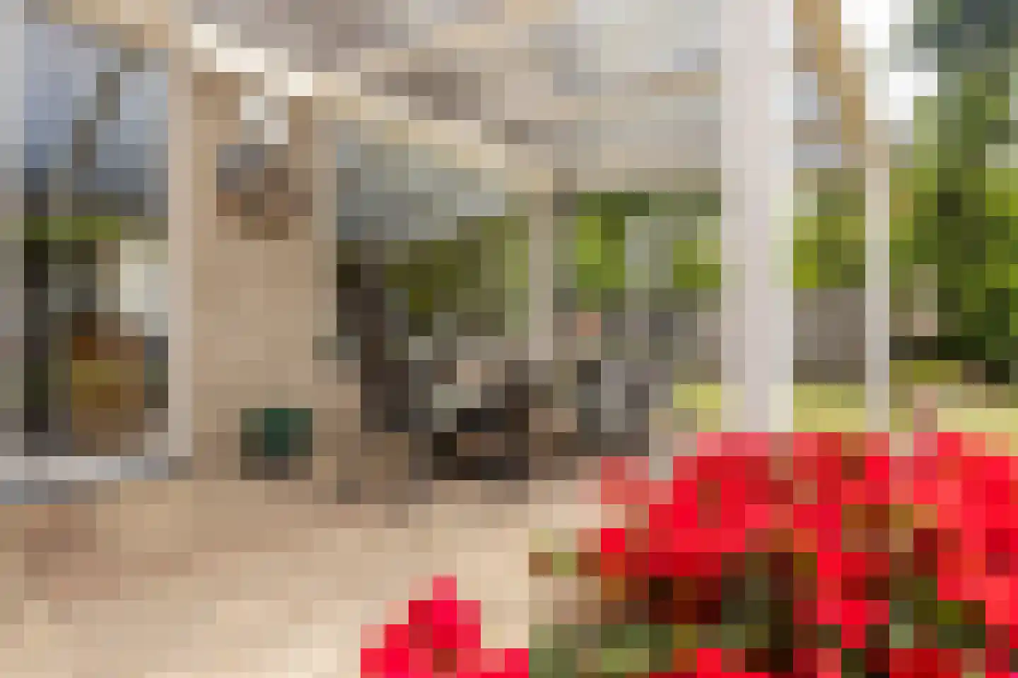 Lichtenbergstraat 14 Sittard thumbnail 30