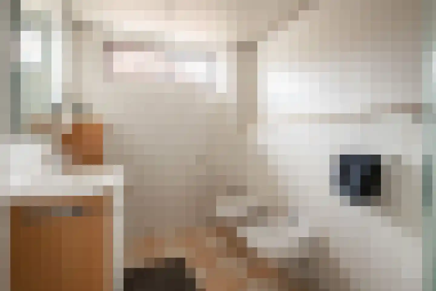Lichtenbergstraat 38 Kerkrade thumbnail 16
