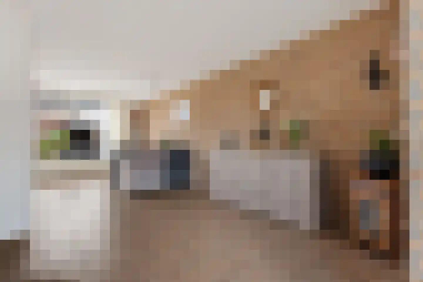 Lichtenvoordestraat 24 Tilburg thumbnail 11
