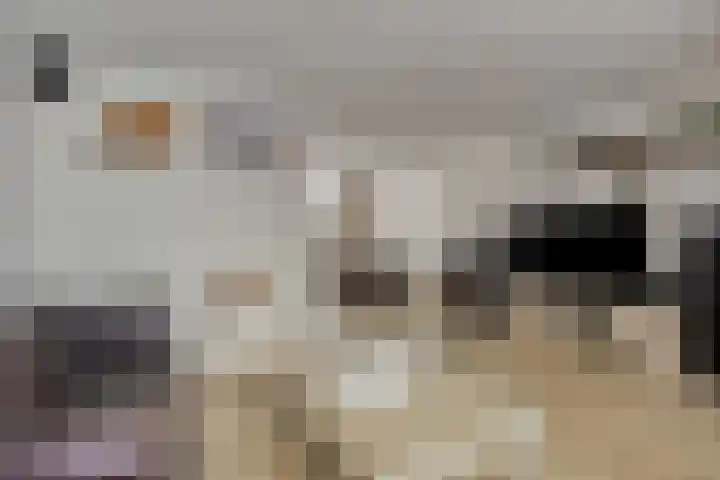 Lichtenvoordestraat 9 Tilburg thumbnail 10