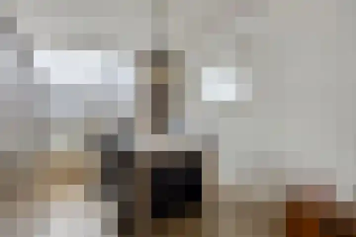 Lichtenvoordestraat 9 Tilburg thumbnail 12