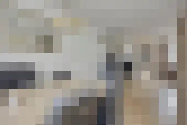 Lichtenvoordestraat 9 Tilburg thumbnail 13