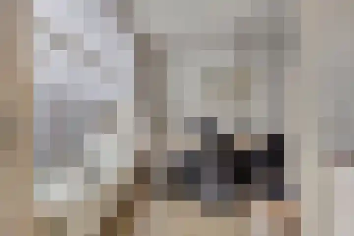 Lichtenvoordestraat 9 Tilburg thumbnail 17