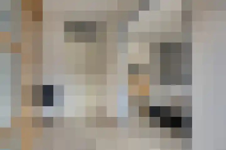 Lichtenvoordestraat 9 Tilburg thumbnail 27