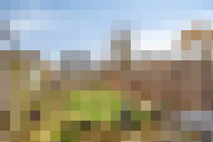 Lichtenvoordestraat 9 Tilburg thumbnail 37