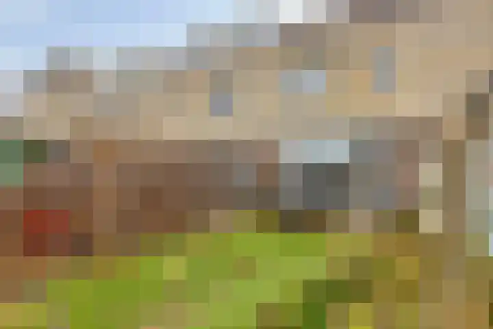 Lichtenvoordestraat 9 Tilburg thumbnail 39