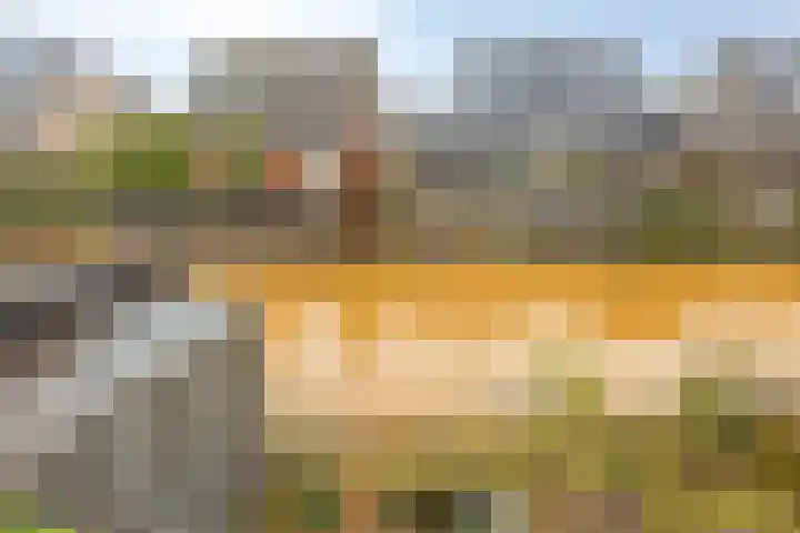 Lichtenvoordestraat 9 Tilburg thumbnail 41