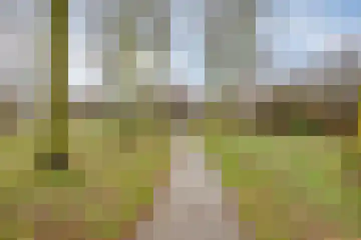 Lichtenvoordestraat 9 Tilburg thumbnail 44