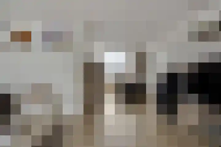 Lichtenvoordestraat 9 Tilburg thumbnail 9