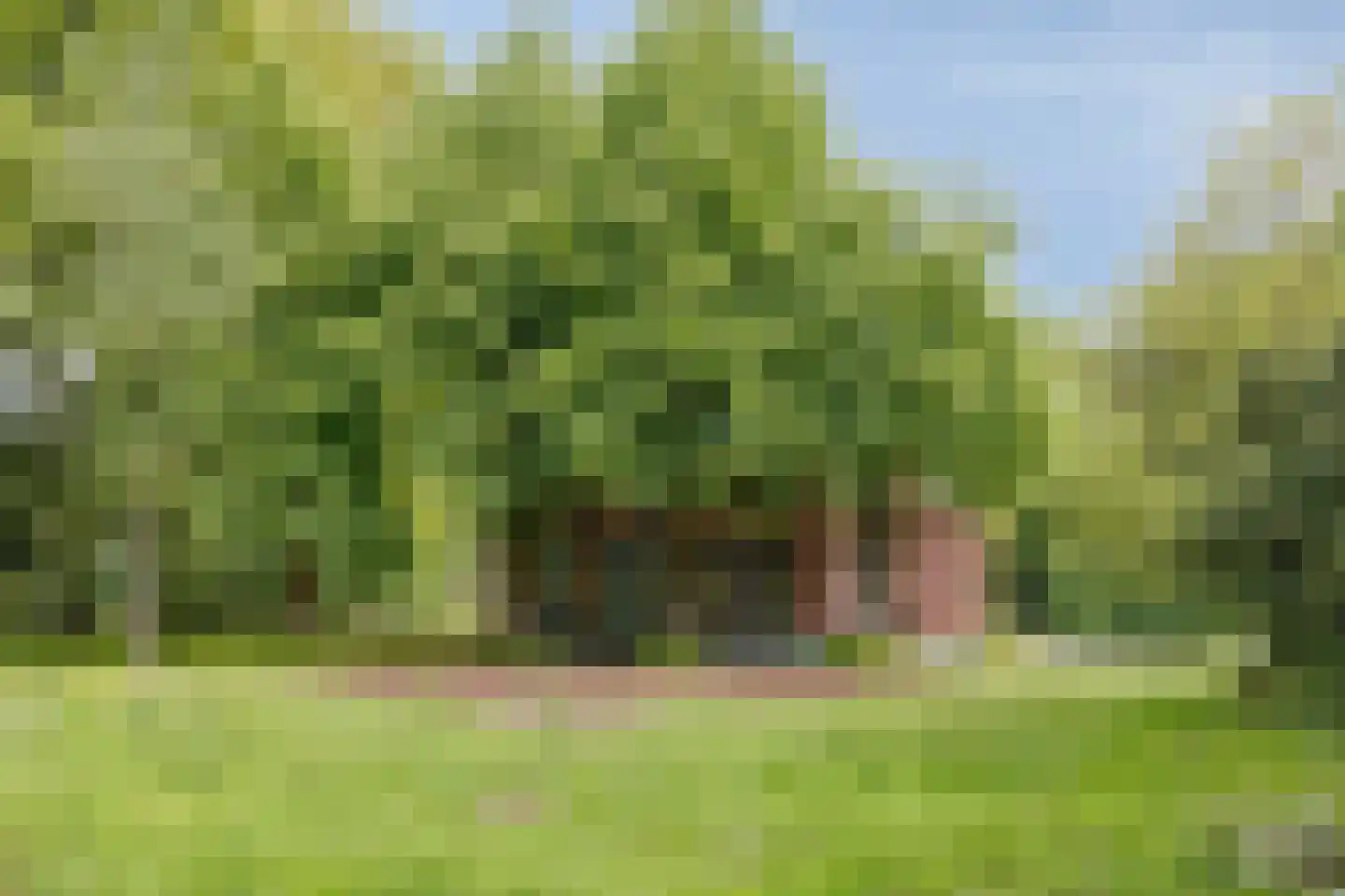 Lichtenvoordsestraatweg 62 Aalten thumbnail 69