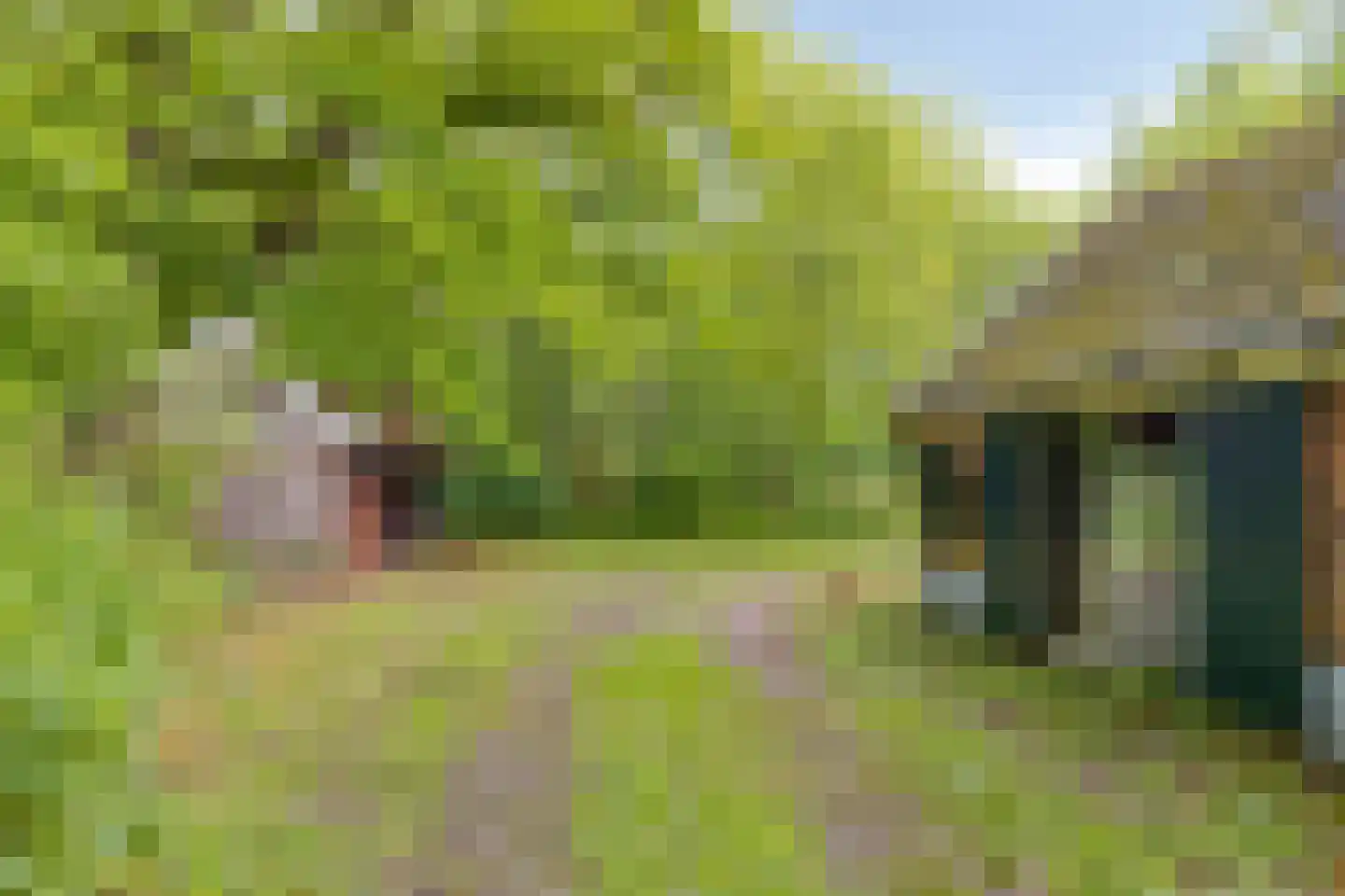 Lichtenvoordsestraatweg 62 Aalten thumbnail 73