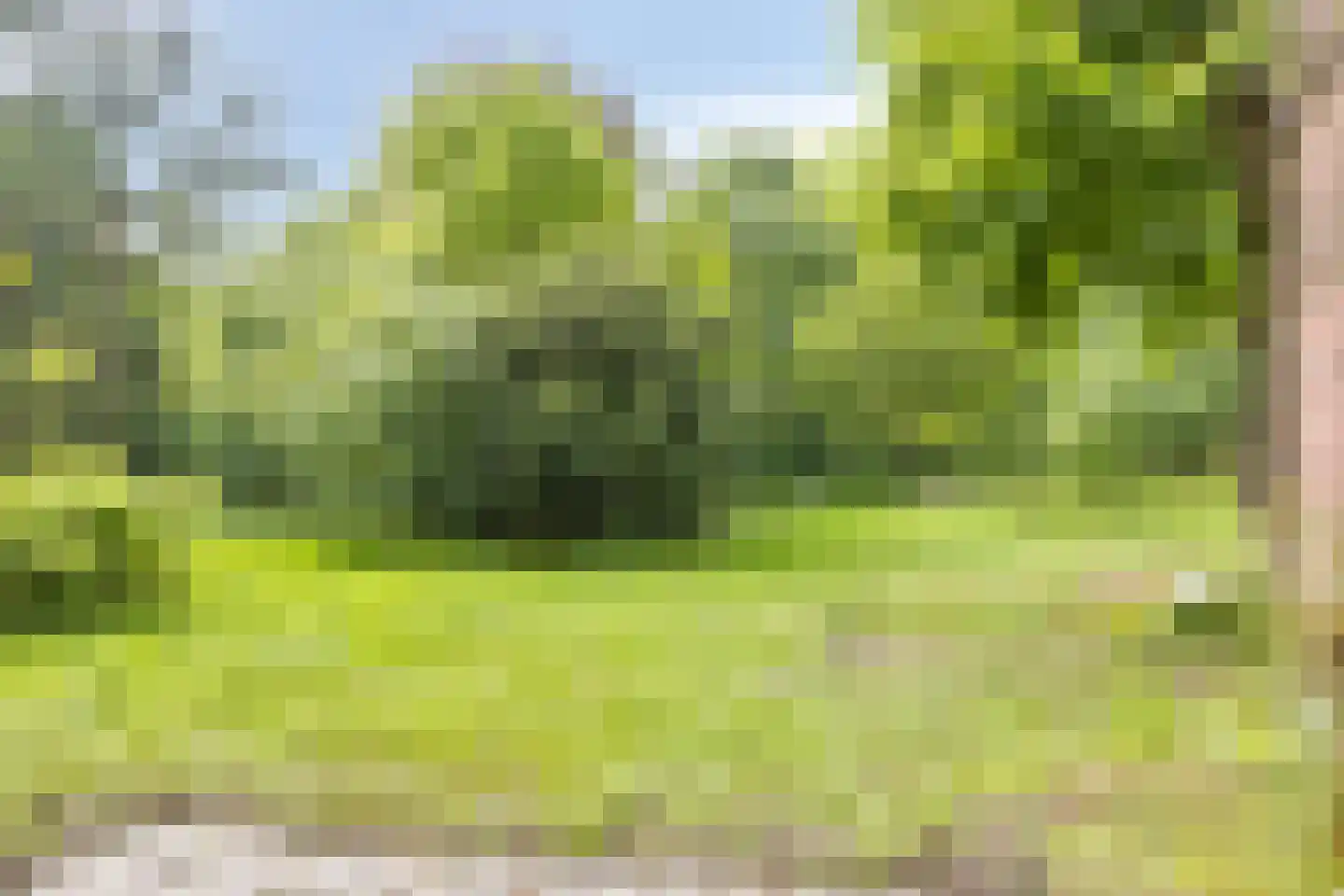 Lichtenvoordsestraatweg 62 Aalten thumbnail 76