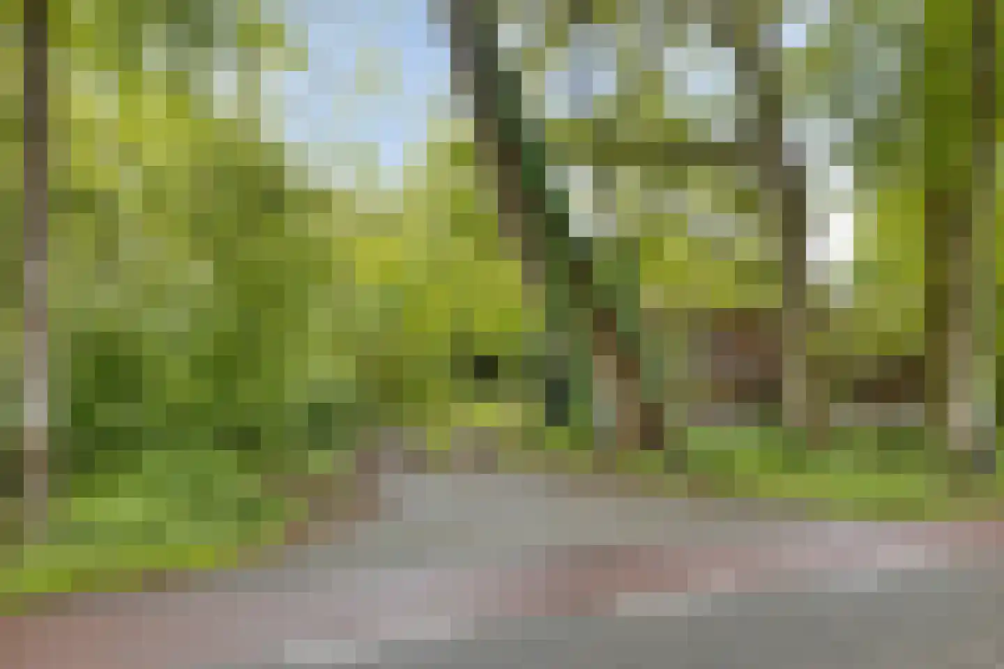 Lichtenvoordsestraatweg 62 Aalten thumbnail 83