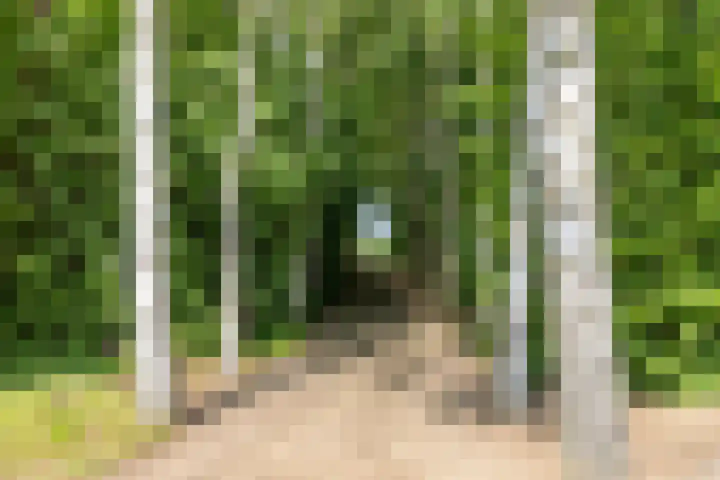 Lichtenvoordsestraatweg 67 C Aalten thumbnail 49