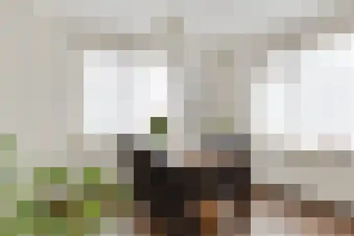 Lichtenvoordseweg 32 Groenlo thumbnail 13