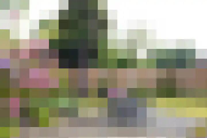 Lichtenvoordseweg 32 Groenlo thumbnail 36