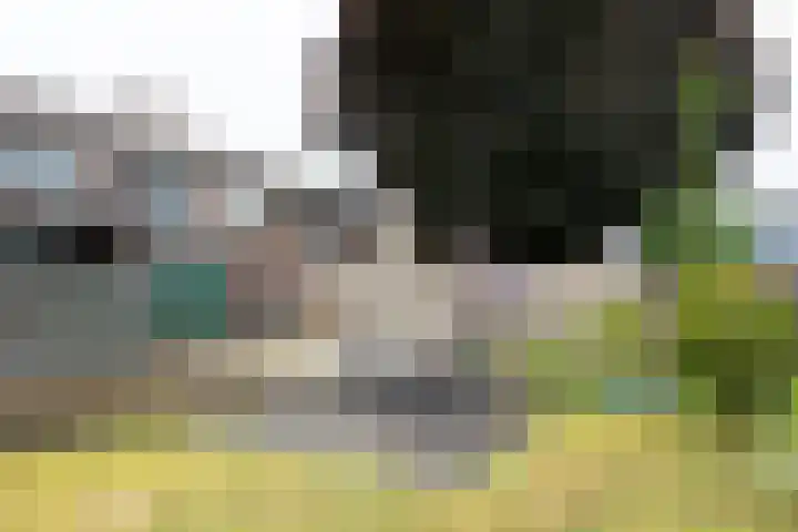 Lichtenvoordseweg 32 Groenlo thumbnail 37