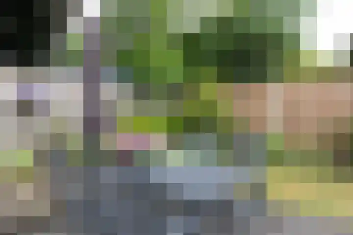 Lichtenvoordseweg 32 Groenlo thumbnail 38