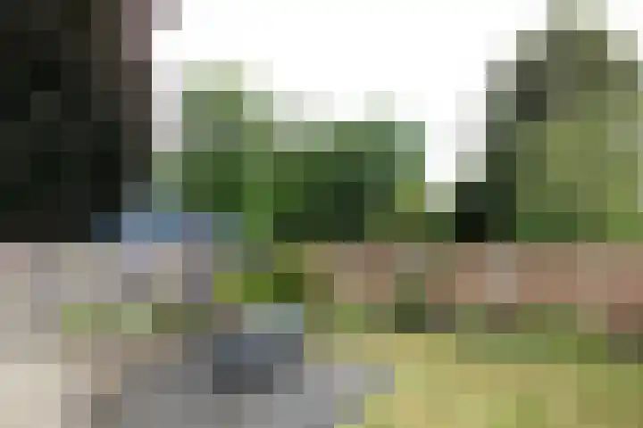 Lichtenvoordseweg 32 Groenlo thumbnail 4