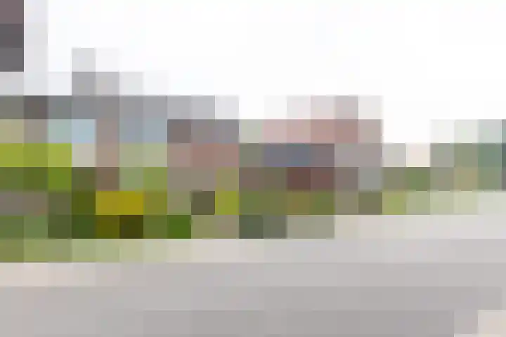 Lichtenvoordseweg 32 Groenlo thumbnail 41