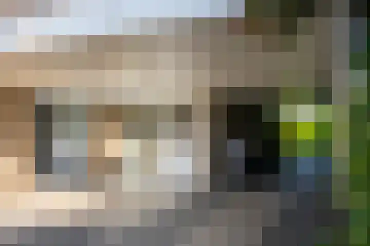 Lichtenvoordseweg 60 Groenlo thumbnail 11