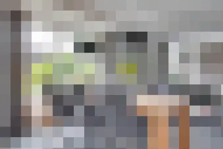 Lichtenvoordseweg 60 Groenlo thumbnail 21
