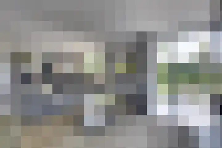 Lichtenvoordseweg 60 Groenlo thumbnail 4