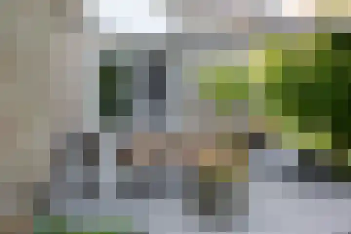 Lichtenvoordseweg 60 Groenlo thumbnail 57