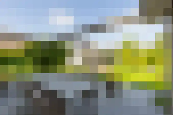 Lichtenvoordseweg 60 Groenlo thumbnail 61