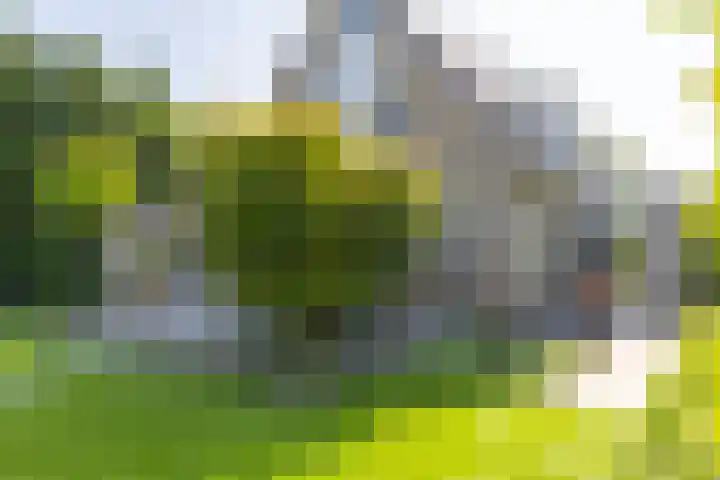 Lichtenvoordseweg 60 Groenlo thumbnail 62