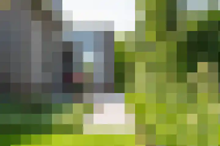 Lichtenvoordseweg 60 Groenlo thumbnail 63