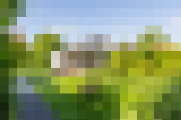 Lichtenvoordseweg 60 Groenlo thumbnail 67