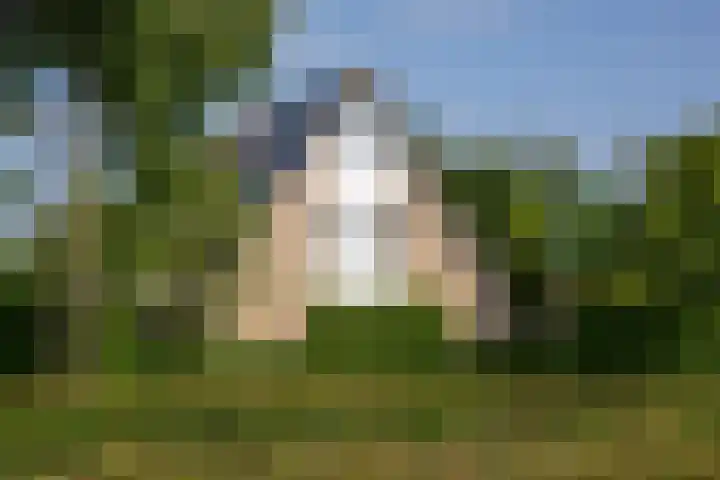 Lichtenvoordseweg 60 Groenlo thumbnail 7