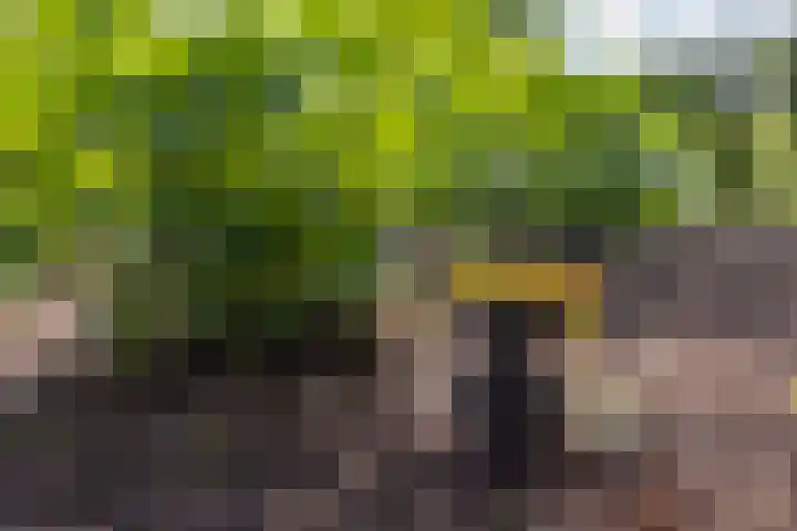 Lichtenvoordseweg 60 Groenlo thumbnail 71