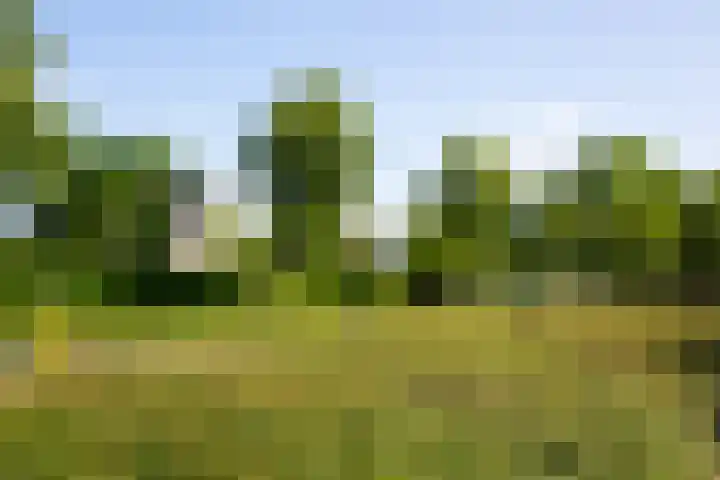 Lichtenvoordseweg 60 Groenlo thumbnail 72