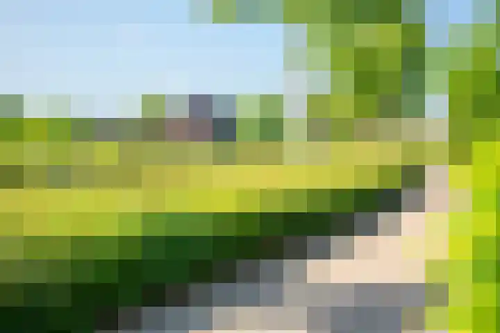 Lichtenvoordseweg 60 Groenlo thumbnail 73