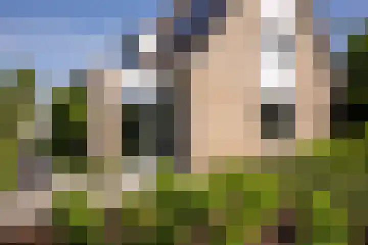 Lichtenvoordseweg 60 Groenlo thumbnail 8
