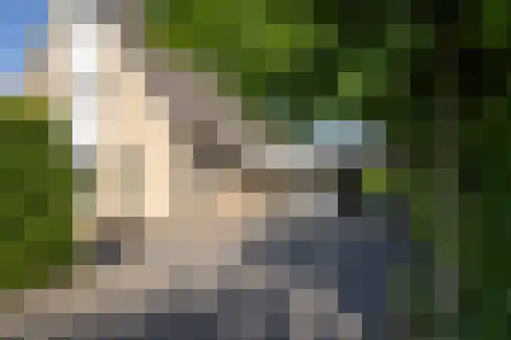 Lichtenvoordseweg 60 Groenlo thumbnail 9