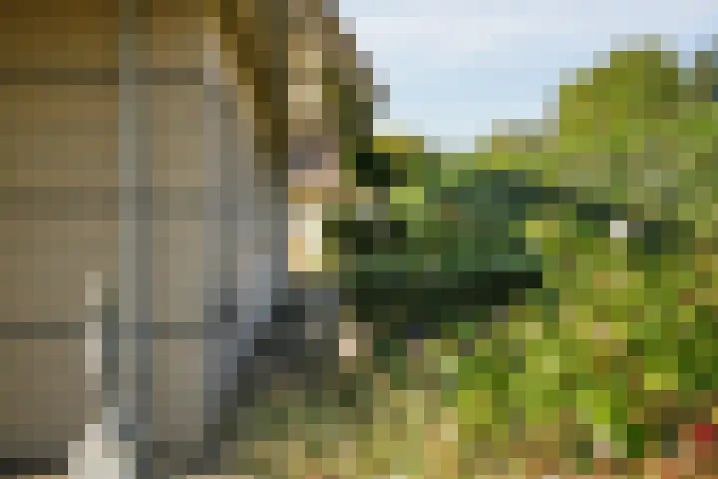 Lichtenvoordseweg 62 Groenlo thumbnail 52