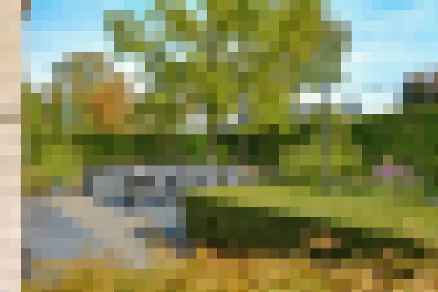 Lichtenvoordseweg 62 Groenlo thumbnail 55