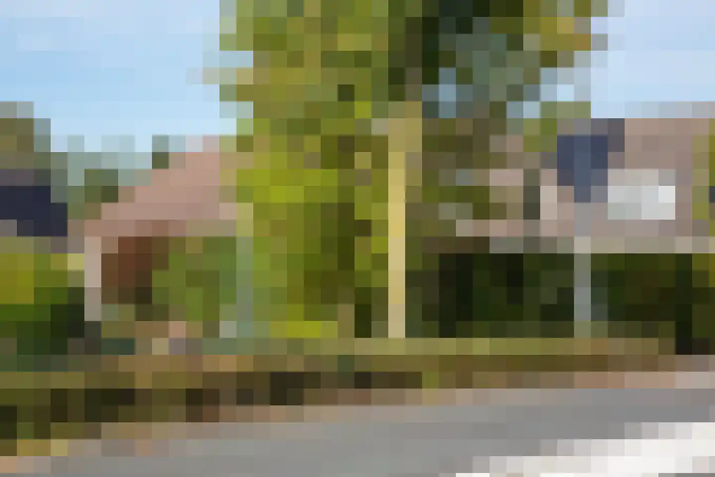 Lichtenvoordseweg 62 Groenlo thumbnail 8