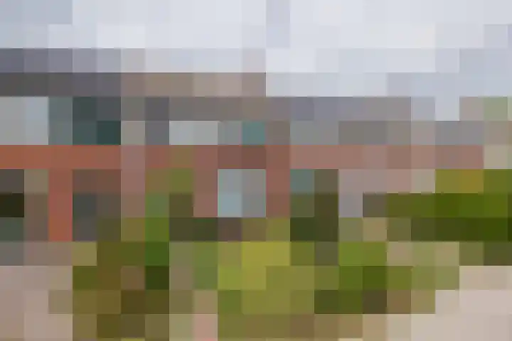 Lichterstraat 11 Nieuw-Vennep thumbnail 6